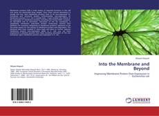 Bookcover of Into the Membrane and Beyond