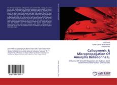 Buchcover von Callogenesis & Micropropagation Of Amaryllis Belladonna L.