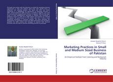Marketing Practices in Small and Medium Sized Business of Pakistan kitap kapağı