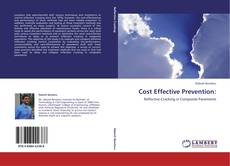 Cost Effective Prevention: kitap kapağı