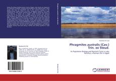 Buchcover von Phragmites australis (Cav.) Trin. ex Steud.