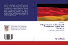 Integration of Turkish Youth to the Labor Market and Education的封面