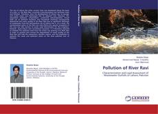Capa do livro de Pollution of River Ravi 