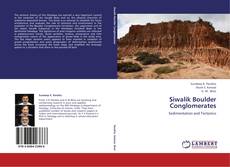 Copertina di Siwalik Boulder Conglomerates