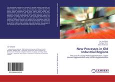 New Processes in Old Industrial Regions kitap kapağı