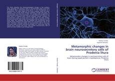 Copertina di Metamorphic changes in brain neurosecretory cells of Prodenia litura
