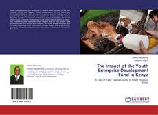 The Impact of the Youth Enterprise Development Fund in Kenya kitap kapağı