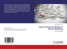 Copertina di Role of Financial Market in Macro Modeling