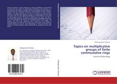Buchcover von Topics on multiplicative groups of finite commutative rings