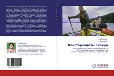 Capa do livro de Описторхидозы Сибири 