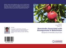 Buchcover von Nematodes Associated with Pomegranate in Balochistan