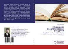Copertina di Экономия энергетических ресурсов