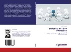 Capa do livro de Semantics Enabled Interaction 