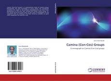 Camina (Con-Cos) Groups的封面
