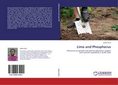Capa do livro de Lime and Phosphorus 