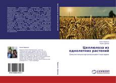 Couverture de Целлюлоза из однолетних растений