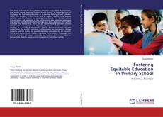 Fostering  Equitable Education  in Primary School的封面