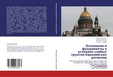 Copertina di Основания и фундаменты в условиях слабых грунтов Евразийских регионов