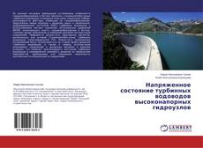 Copertina di Напряженное состояние турбинных водоводов высоконапорных   гидроузлов