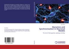 Capa do livro de Dynamics and Synchronization in Neuronal Models 