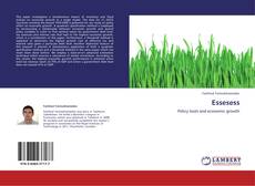 Bookcover of Essesess