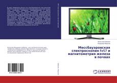 Copertina di Мессбауэровская спектроскопия Fe57 и магнитометрия железа в почвах