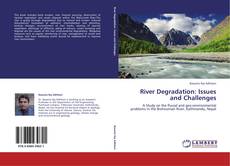 Bookcover of River Degradation: Issues and Challenges