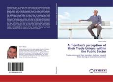 Portada del libro de A member's perception of their Trade Unions within the Public Sector