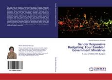 Gender Responsive Budgeting: Four Zambian Government Ministries kitap kapağı