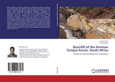 Basinfill of the Permian Tanqua Karoo, South Africa kitap kapağı