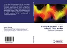 Couverture de Risk Management in the primary CDM market