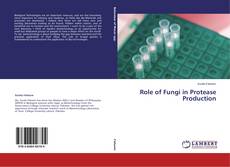 Copertina di Role of Fungi in Protease Production