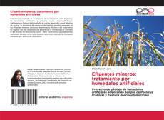 Bookcover of Efluentes mineros: tratamiento por humedales artificiales