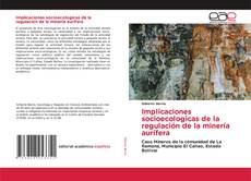 Buchcover von Implicaciones socioecologicas de la regulación de la minería aurífera