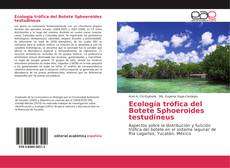 Ecología trófica del Botete Sphoeroides testudineus kitap kapağı