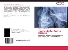 Bookcover of Hospital de San Andrés Mosqueta