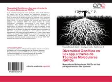 Bookcover of Diversidad Genética en Ilex spp a través de Técnicas Moleculares RAPDs