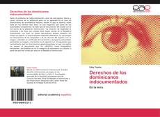 Derechos de los dominicanos indocumentados kitap kapağı