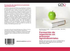 Formación de ingenieros en procesos agroindustriales kitap kapağı