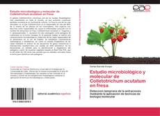 Copertina di Estudio microbiológico y molecular de Colletotrichum acutatum en fresa