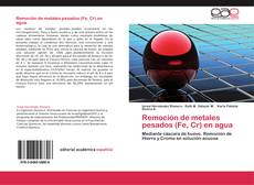Bookcover of Remoción de metales pesados (Fe, Cr) en agua