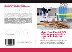 Bookcover of Identificación del QTL Lr34 de resistencia a roya de la hoja en trigo