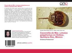 Portada del libro de Cacerolita de Mar, Limulus polyphemus en Holbox, Quintana Roo, México