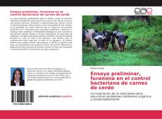 Bookcover of Ensayo preliminar, furanona en el control bacteriano de carnes de cerdo