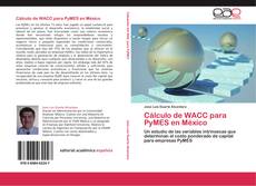 Capa do livro de Cálculo de WACC para PyMES en México 