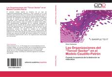 Las Organizaciones del "Tercer Sector" en el Modelo Caudillo-Patrón kitap kapağı