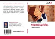 Valorización de lodos residuales industriales kitap kapağı