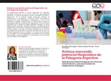 Bookcover of Schinus marcandii: potencial fitogenético de la Patagonia Argentina