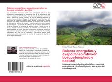 Bookcover of Balance energético y evapotranspirativo en bosque templado y pastizal