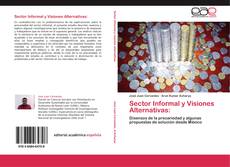 Sector Informal y Visiones Alternativas: kitap kapağı